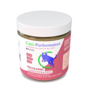 Programme concentration